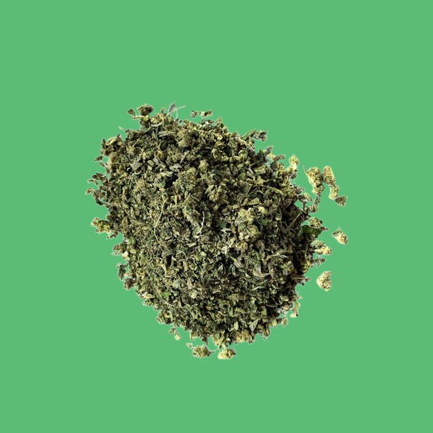 Chocolate Mint Shake Chocolate Mint Shake