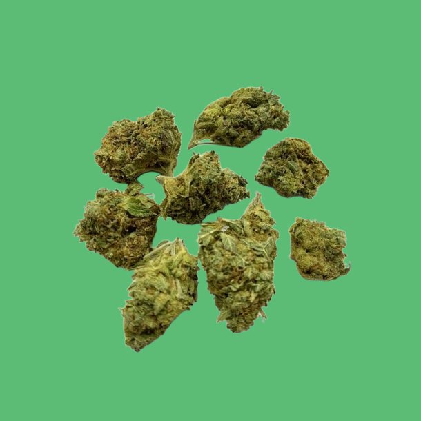 Nightwalker Nightwalker