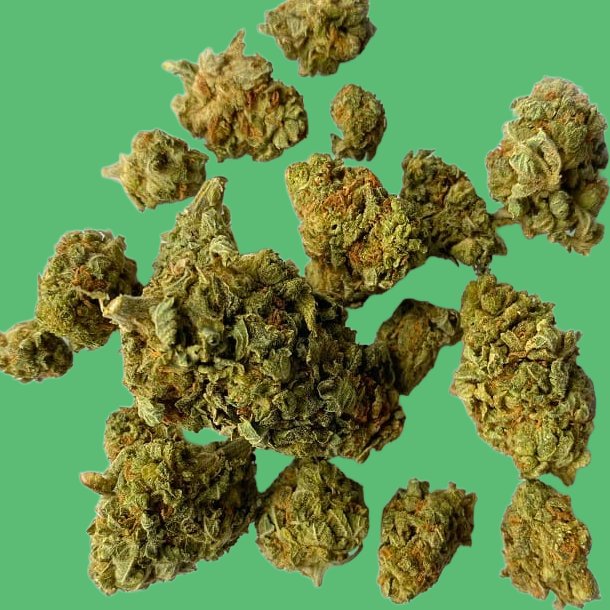 Chem Scout Chem Scout