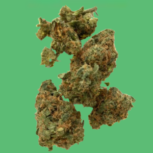 Gummy Bears Gummy Bears