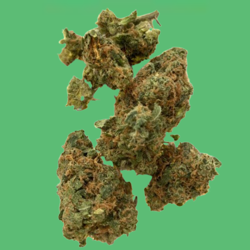 Gummy Bears Gummy Bears