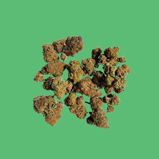 Purple Palm Tree Delight Purple Palm Tree Delight