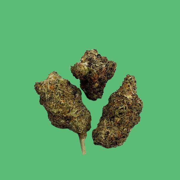 Garlic Breath Garlic Breath