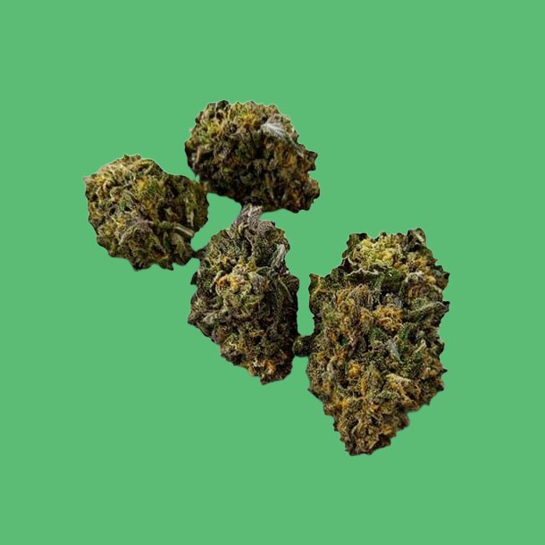 Chocolate Mint Chocolate Mint