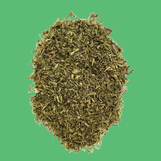 Stardawg Shake Stardawg Shake