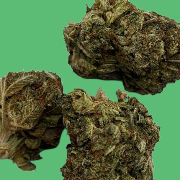 Refreshers Refreshers