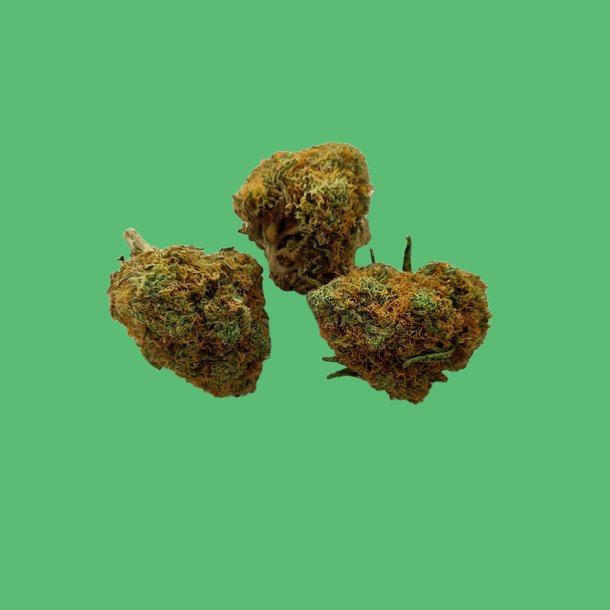 Tutankhamon Tutankhamon