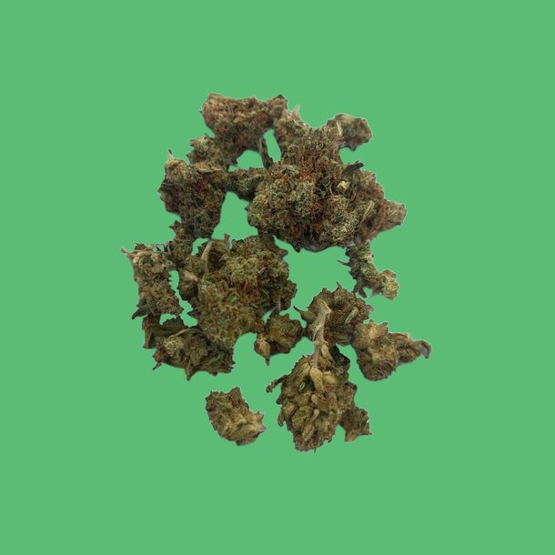 Star Dream Star Dream