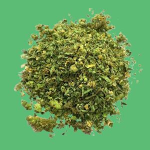 Amnesia Shake Amnesia Shake