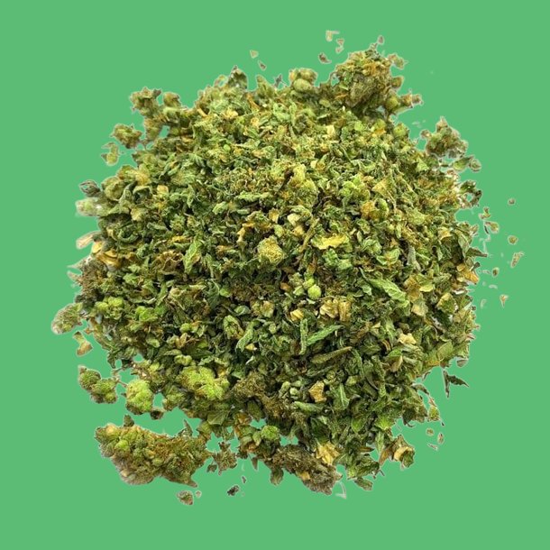 Amnesia Shake Amnesia Shake