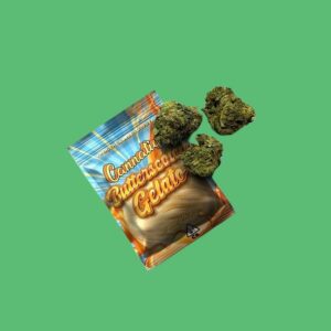 BUTTERSCOTCH GELATO by Cannatique