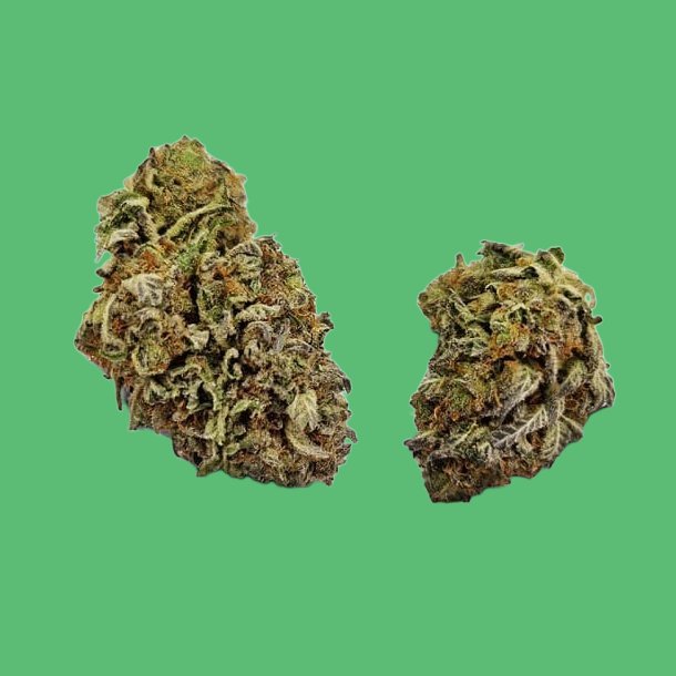 RUNTZ X LAYER CAKE RUNTZ X LAYER CAKE