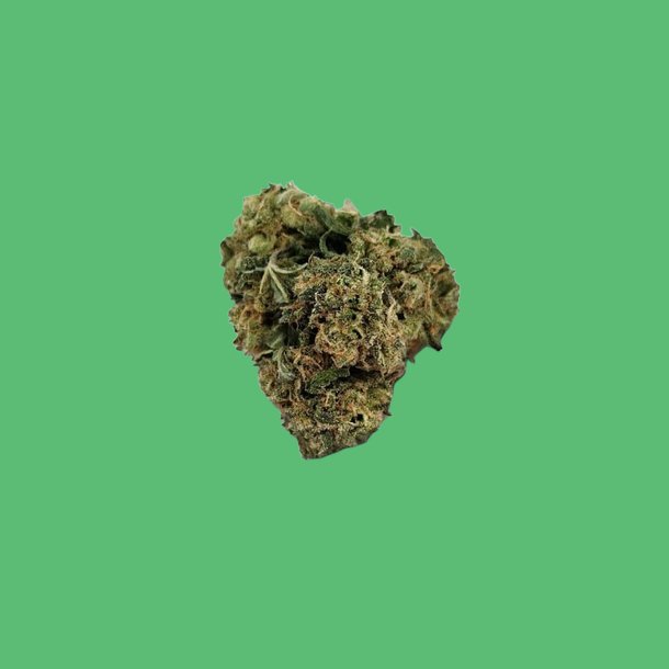 Aurora Borealis Aurora Borealis