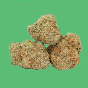 Forbidden Runtz Forbidden Runtz