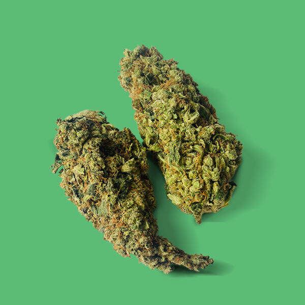 Fruit Punch Fruit Punch