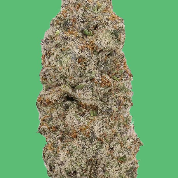 Rainbow Sherbert Rainbow Sherbert