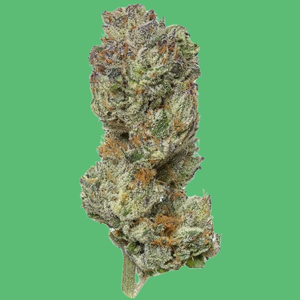 Permanent Marker Permanent Marker