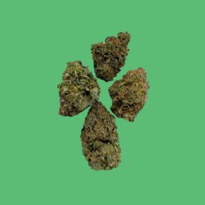 Sour Headband Sour Headband