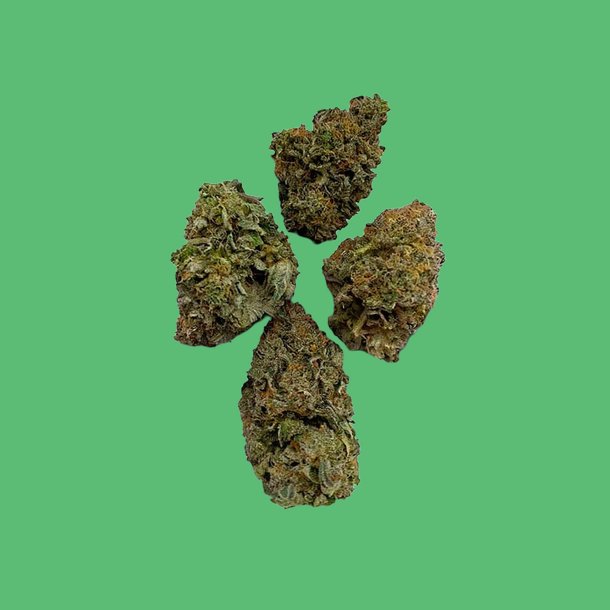 Sour Headband Sour Headband