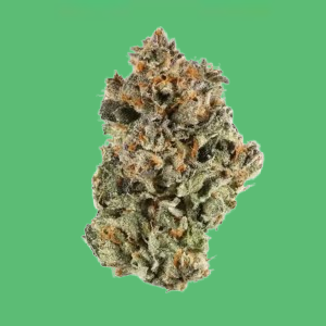 Sunshine Sherbet Sunshine Sherbet